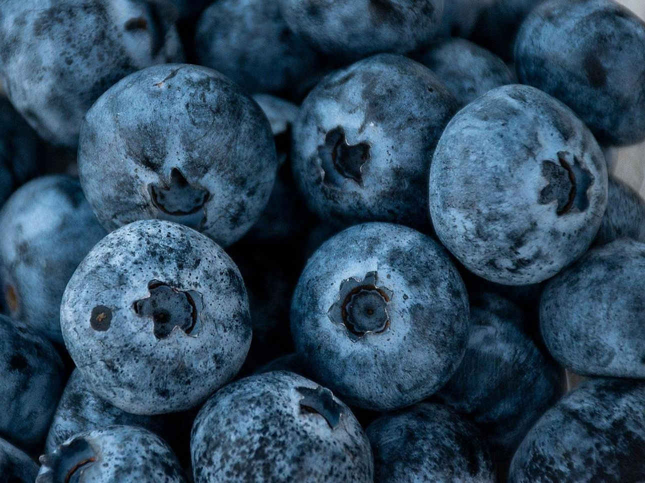 Polpa de fruta